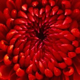 1180117