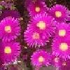 Mini_magick20130506-10424-1qu8gof