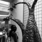 Mini_magick20130506-10817-9qrnrm