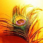 Mini_magick20130507-15292-1nzlfl8