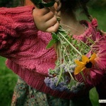 Mini_magick20130507-15292-1u9pnf2
