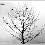Mini_magick20130510-1459-pu8v3o