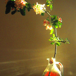 Mini_magick20130513-21690-1m9ln1a