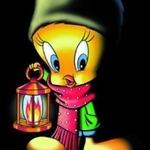 Mini_magick20130513-21690-spvga8