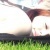 Mini_magick20130514-21690-1l4ajy3
