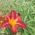 Mini_magick20130515-5716-1noe112