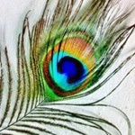 Mini_magick20130516-5716-1bpl7st