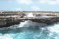 Mini_magick20130517-23213-1g316nd