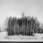 Mini_magick20130517-5716-1ay4o15