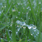 Mini_magick20130517-5716-1xc2r7b