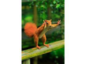 Mini_magick20130521-15712-1bxu3ee