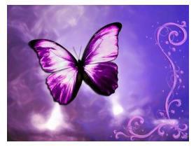Mini_magick20130521-15712-fb82jr