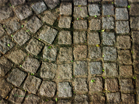 Mini_magick20130524-17678-10iz756
