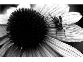 Mini_magick20130528-27742-1vvv05g