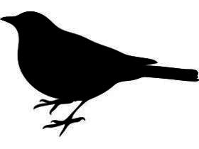 Mini_magick20130530-11791-7tte82