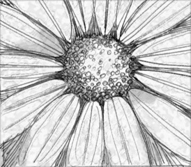 Mini_magick20130530-7572-rpvafy