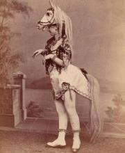 Mini_magick20130621-954-46d0wx