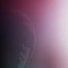 Mini_magick20130622-4725-1h3ytta
