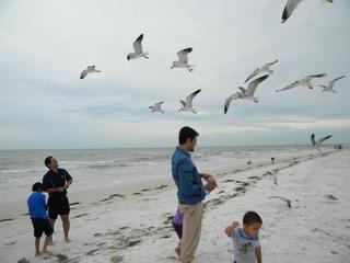 Mini_magick20130622-954-1oqmm68