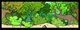Mini_magick20130627-2261-19sime