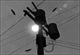 Mini_magick20130627-2261-95y72z