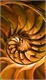 Mini_magick20130627-2261-st9ijj